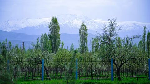 O&lsquo;zbekistonda 10-may kuni qanday ob-havo bo&lsquo;lishi maʼlum qilindi