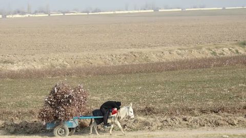 O&lsquo;zbekistonda kambag&lsquo;al oilalar toifalarga qanday ajratilishi ma&rsquo;lum bo&lsquo;ldi&nbsp;
