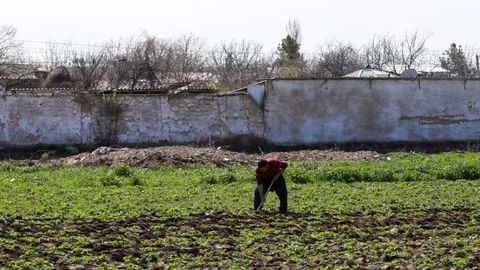 O&lsquo;zbekistonda usta dehqonlarga 100 mln so&lsquo;mgacha subsidiya ajratiladi