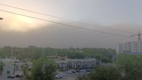 Toshkentda kuchli chang bo&lsquo;roni kuzatilmoqda (video)