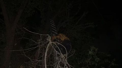 Kuchli shamol oqibatida Toshkent shahri va viloyatida qariyb 19 ming isteʼmolchi &ldquo;svet&rdquo;siz qoldi
