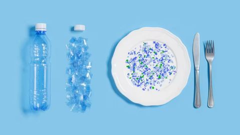 Tadqiqot: oziq-ovqatdagi plastik mikrozarralar ruhiy kasalliklarni qo&lsquo;zg&lsquo;atadi