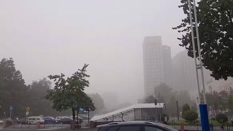 Тошкентда дарахт босиб қолган фуқаро вафот этди