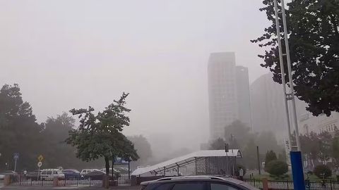В Ташкенте в результате падения дерева погиб один человек