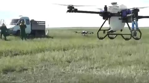 Qozog&lsquo;istonda chigirtkalarga qarshi dronlardan foydalaniladi&nbsp;