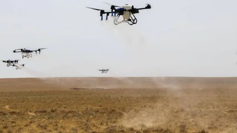 Kazakhstan uses drones to tackle rising locust threat &nbsp;