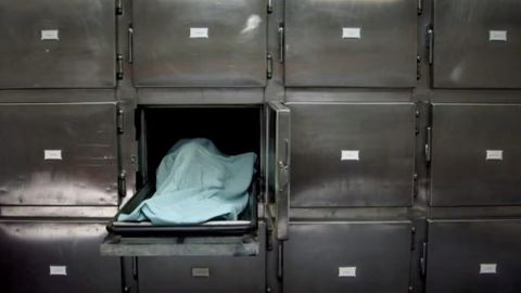 Garvard universiteti morgi xodimi 5 yil davomida inson qoldiqlarini sotdi