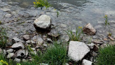 O&lsquo;zbekistonning ayrim hududlarida 28-may kuni yomg&lsquo;ir yog&lsquo;adi, momaqaldiroq bo&lsquo;lishi mumkin
