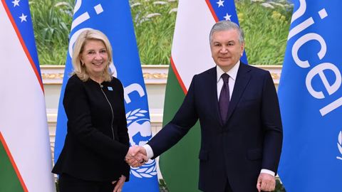 Шавкат Мирзиёев принял исполнительного директора Детского фонда ООН