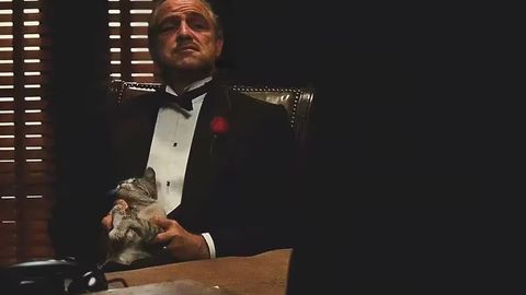 Aktyor bo&lsquo;lmaganda, film ham bo&lsquo;lmasdi: Gollivud yulduzlari uchun maxsus yaratilgan rollar