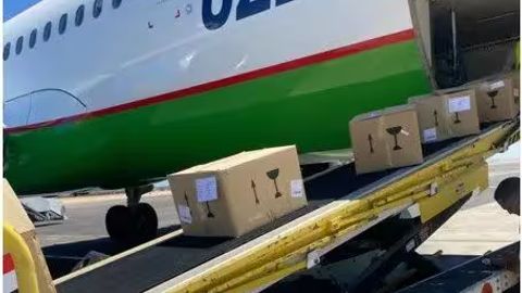 В Узбекистан из Египта доставлена первая в 2025 году партия препаратов против гепатита С&nbsp;
