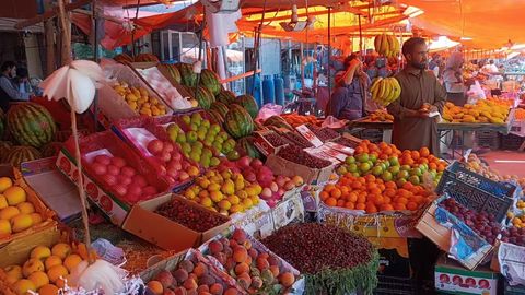 Afg&lsquo;onistondagi qurg&lsquo;oqchilikka qaramay, ho&lsquo;l meva hosildorligi o&lsquo;tgan yilga nisbatan ikki baravar oshdi
