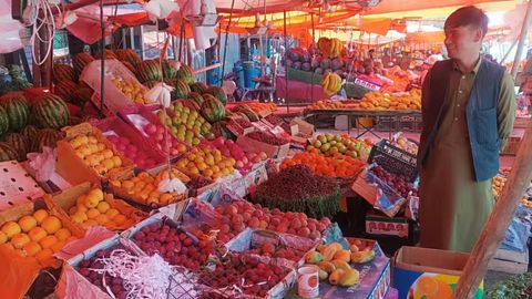 Afghanistan&rsquo;s Balkh province doubles wet fruit harvest despite drought