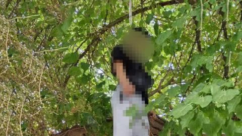 Toshkentda 19 yoshli yigit daraxtga osilgan holda topildi