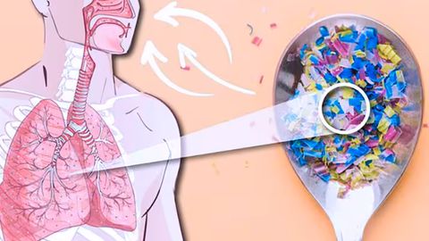 Plastik idishdagi ovqat yurak kasalliklariga qanday taʼsir qiladi