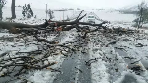 Жанубий Африкада совуқ ҳаво оқибатида 57 киши ҳалок бўлди