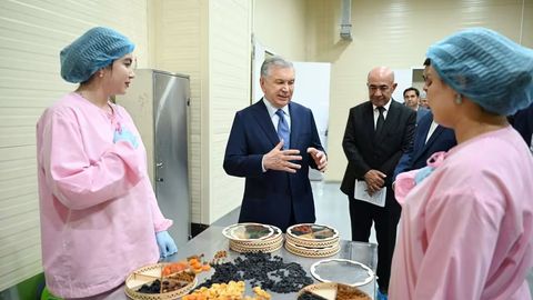 &ldquo;Texnologiya olib kelib, jahon bozoriga sarxil va quritilgan mevalarni eksport qilish salohiyatimiz bor&rdquo; &mdash; prezident