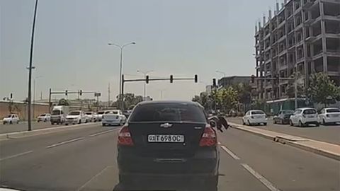 В Ташкенте гражданин выбросил кошку на проезжую часть из окна автомобиля (видео)
