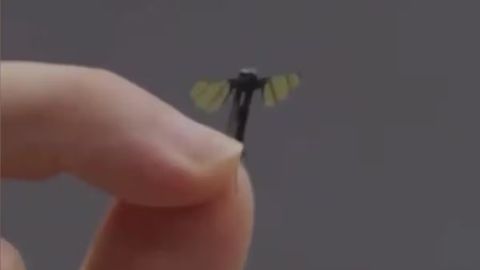 Xitoyda chivindek keladigan harbiy dron ishlab chiqildi (video)