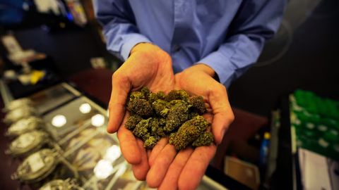 Tailand kannabis uchun jinoiy javobgarlik joriy qilmoqchi
