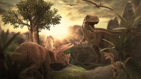 Olimlar Fransiyada minglab dinozavr tuxumlarini topdi&nbsp;