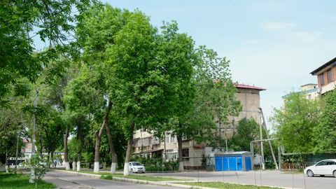 Kelasi hafta avvalida harorat biroz pasayadi