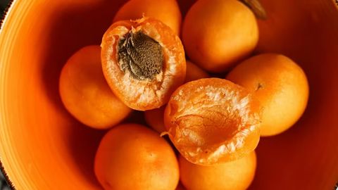 Quyoshli meva: yozda o&lsquo;rik iste&rsquo;mol qilish uchun 7 sabab