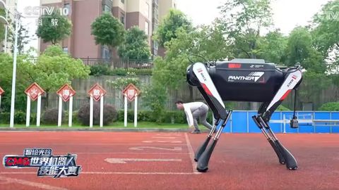 Xitoyda yaratilgan robot it 100 metrni 13 soniyada yugurib o&lsquo;tib, rekord o&lsquo;rnatdi
