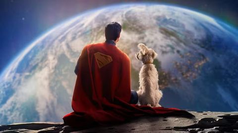Yangi &ldquo;Supermen&rdquo; filmi chiqqach, odamlar ommaviy tarzda itlarni qaramog&lsquo;iga ola boshladi