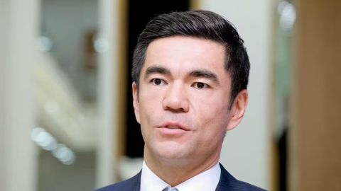 Uzbekistan businessman Nazarov calls for end to tree-cutting restrictions in Tashkent, proposes &lsquo;Tree Bank&rsquo; system&nbsp;