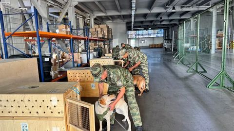 Koreya O&lsquo;zbekistondan oltita xizmat iti xarid qildi