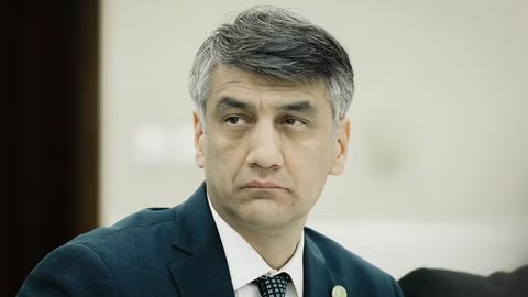 “Бу кетишда келажак авлод дарахтга эътиқод қилишни бошлаб юбормаса” — Алишер Қодиров дарахтлар кесилиши ҳақида