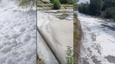 Andijondagi Janubiy Farg&lsquo;ona kanal zaharli ko&lsquo;pikka to&lsquo;lgani haqida xabarlar tarqaldi (video)