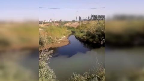 Andijondagi kanalga korxonadagi avariya sabab neft oqib ketdi