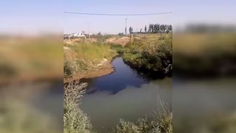 В результате аварии на предприятии в один из каналов Андижана утекла нефть (видео)