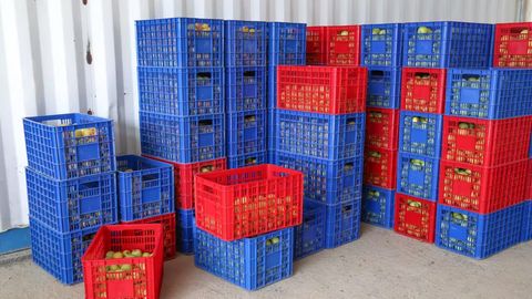 Mirziyoyev slams raw fruit exporters as rejected shipments threaten Uzbekistan&rsquo;s market reputation&nbsp;