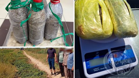 Toshkent viloyatida 3-kurs talabasi 4,3 kg sintetik giyohvandlik moddasi bilan qoʻlga tushdi