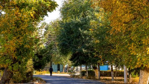 O'zbekistonda sentyabrda qanday ob-havo kutilmoqda?