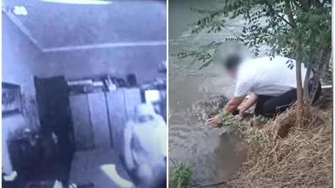 Toshkentda 2 nafar shaxs tashkilot idorasidan ichida 560 ming AQSH dollari bo&lsquo;lgan seyfni o&lsquo;marib ketdi