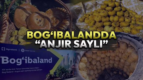 “Боғибаланд”да анжир сайли: Самарқандда миллий мева байрами бўлиб ўтди 