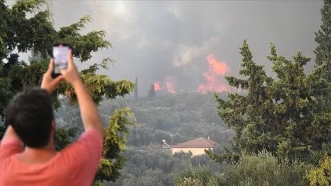 Gretsiyada 4 kun ichida 242 ta o&lsquo;rmon yong&lsquo;ini sodir bo&lsquo;ldi (video)