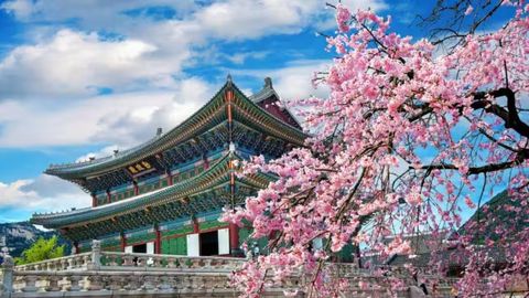 Uzbek citizens&rsquo; trips to Korea increase by 48.7% in 1H25&nbsp;