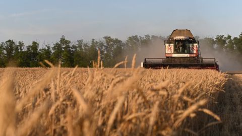 Afghanistan allegedly produces 60% of flour domestically &nbsp;