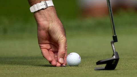 Britaniyalik golf o&lsquo;yinchisi pashsha yordamida 910 ming dollar yutib oldi (video)