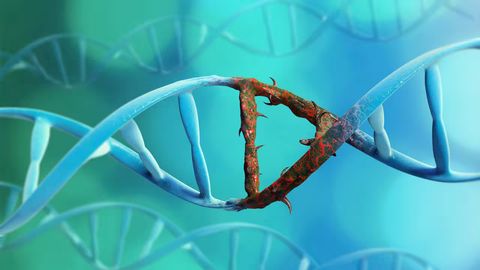 Genetik mutatsiya yordamida barcha viruslarga qarshi universal immunitet hosil qilish usuli topildi