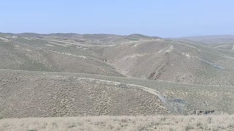 Navoiyda bir haftada uchta oltin koni sotib yuborildi