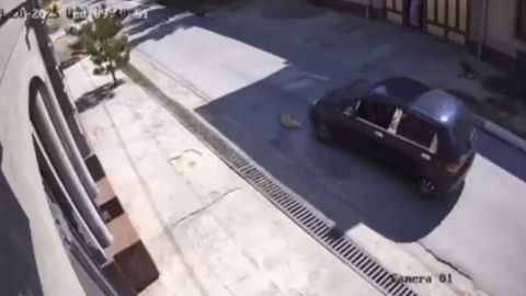 Yangiyo&lsquo;lda itni Matiz&rsquo;da bosib o&lsquo;tgan haydovchi jazolandi