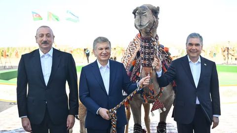 Гурбангулы Бердымухамедов подарил Шавкату Мирзиёеву верблюда и верблюжонка