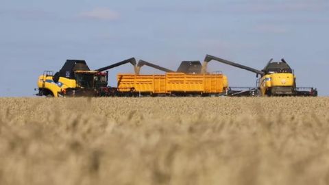 Kazakhstan threshes 2.4mn tons of grain as 2025 harvesting campaign covers 15 regions&nbsp;