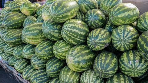 Oʻzbekistonda tarvuz narxi keskin oshdi
